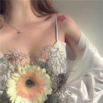 亚虎娱乐手机app下载